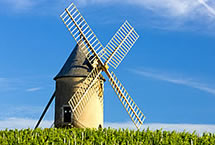 Emerald Cruise Deals!