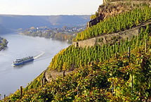 Huge Discounts on<br>Riviera River Cruises!