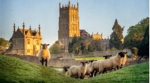 Limited-Time Offer<br>on CIE Tours!