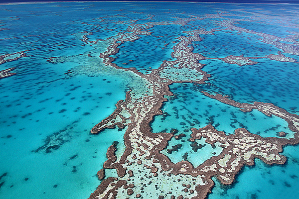 Great Barrier Reef